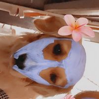 aesthetic_bellll