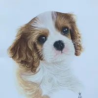 original sound - kupotv