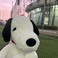 ailvis_07