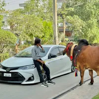 original sound - abdulrehmanofficial228