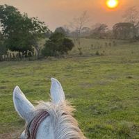amorporelcampo10