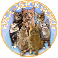 nala_meets_world