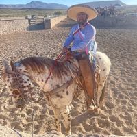 bugui721