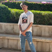 الصوت الأصلي