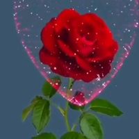 rosy56032