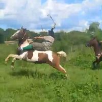 el.gaucho.sapateador