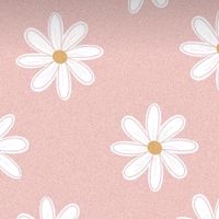 deisy.com55