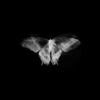 original sound - zahirolyx