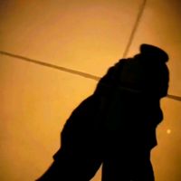 drago_702