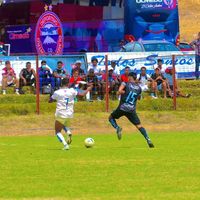 andresfarid10