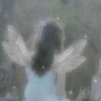fairy.beateiz