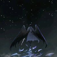 dk_salvation4951