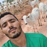 josuerocha019gmail0