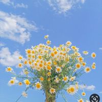 original sound - ✨✨✨