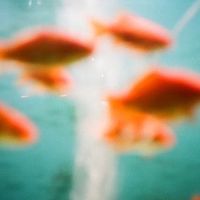 original sound - 𐙚