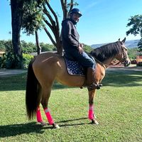 wesleyaraujo115