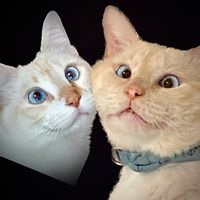 buhbo.and.blaze