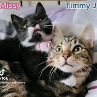 missytimmydash