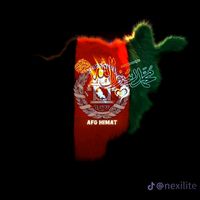 afghanlive78