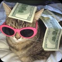Tiho mi pazi
