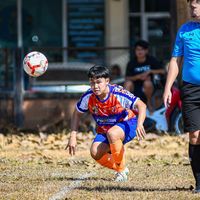 armkung_43