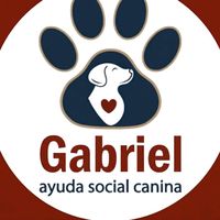 ayudasocial09