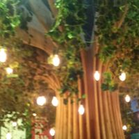 torcinda_da_nadja_pessoa