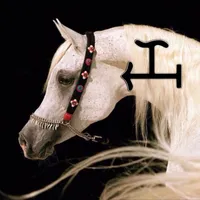 original sound - marcoestradaoficial