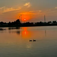 original sound - SunRaySkiess