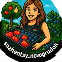 sazhentsy_novogrudok