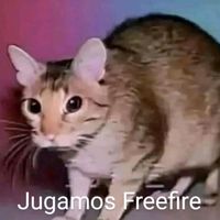 la_ratapro123xd