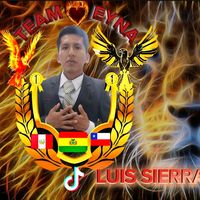 luis.sierra.1