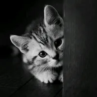 original sound - urde.x