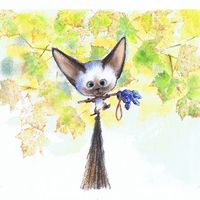 gatitalocita