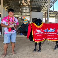 เสียงต้นฉบับ - ฟิล์ม รุจิโรจน์