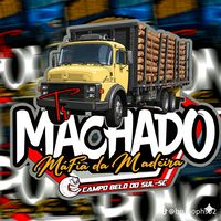 renatomachado119