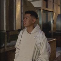 si_ie83