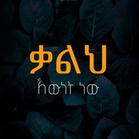 jalcreative1