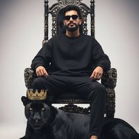 الصوت الأصلي