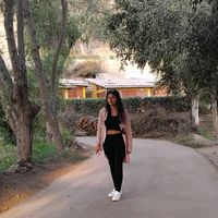 quinto_dania