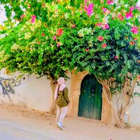 souad.la7