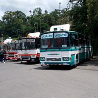 busologo_turri_cr