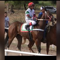 201522rangel