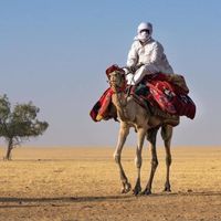 le_nomade_du_tchad