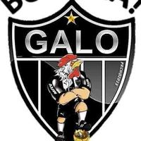 galo.doido915
