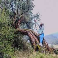 rhociorg_14