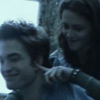 swantwilightt