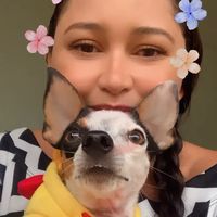 crismaedepet