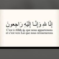 user3917713348153kouta