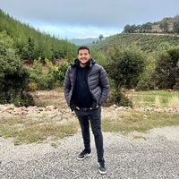 halitylcnn
